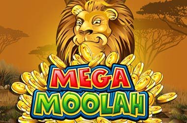 Mega Moolah Slots - Greatest Slot Video Games - Further Bonuses